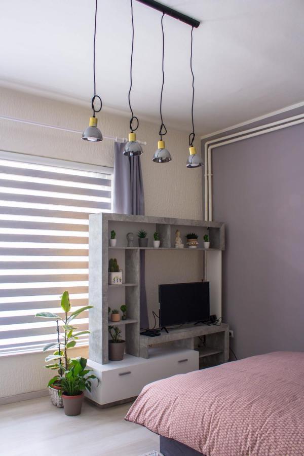 Bb Downtown Apartment Bajina Basta Extérieur photo