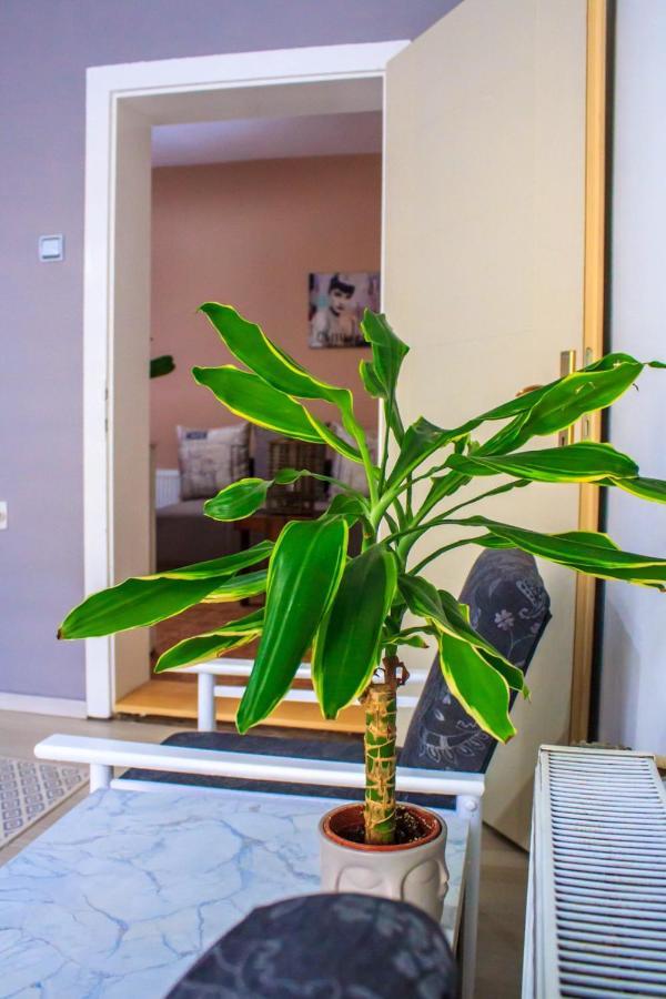 Bb Downtown Apartment Bajina Basta Extérieur photo