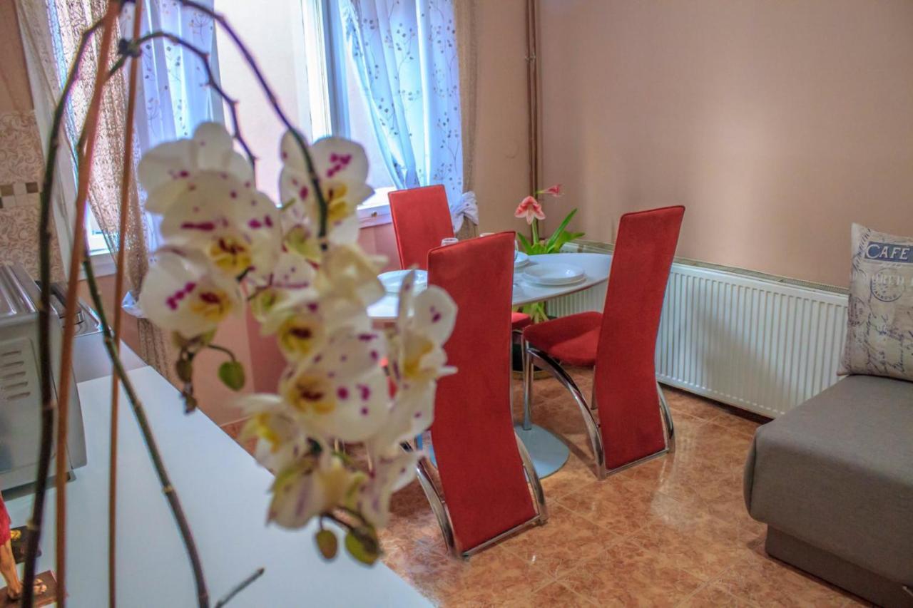 Bb Downtown Apartment Bajina Basta Extérieur photo